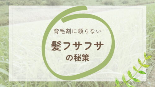 髪を増やす秘策