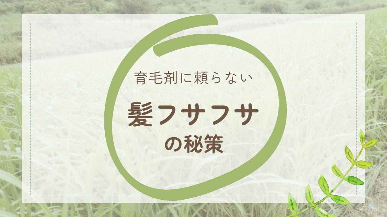 髪を増やす秘策